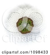 3d Dandelion Seed Head Shown With A Fibonacci Sequence Pattern 3