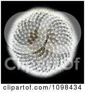 Clipart 3d Dandelion Seed Head With A Fibonacci Sequence Pattern 2 Royalty Free CGI Illustration by Leo Blanchette