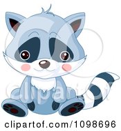 Cute Sitting Raccoon With A Sad Face