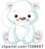 Cute Polar Bear Cub Sitting And Smiling