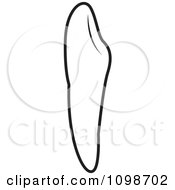Clipart Outlined Human Canine Tooth Royalty Free Vector Illustration