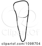 Clipart Outlined Human Canine Tooth 2 Royalty Free Vector Illustration