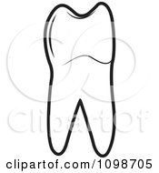 Clipart Outlined Human Bicuspid Tooth Royalty Free Vector Illustration