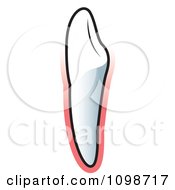 Clipart Human Canine Tooth Over Pink Royalty Free Vector Illustration