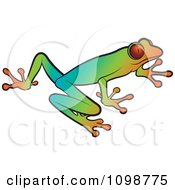 Clipart Colorful Poison Dart Frog Royalty Free Vector Illustration