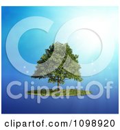 Poster, Art Print Of 3d Lush Tree And A Circle Of Grass Over Blue With Rays