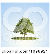 Poster, Art Print Of 3d Lush Tree And A Circle Of Grass Over Blue