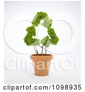 Clipart 3d Recycle Arrow Plant In A Terra Cotta Pot Royalty Free CGI Illustration by Mopic