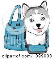 Poster, Art Print Of Happy Siberian Husky Puppy In A Blue Dog Carrier Bag