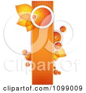 Background Of A Dewy Orange And Leaves On A Halftone Banner 1