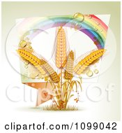 Rainbow Origami Banner And Whole Grain Wheat