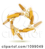 Clipart Oval Of Whole Grain Wheat Royalty Free Vector Illustration by merlinul