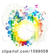 Poster, Art Print Of Background Of Butterflies With Rainbow Stripes Dots Sparkles And Splatters