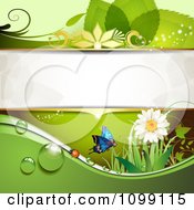 Poster, Art Print Of Green Background Of A Ladybug Butterfly Daisy And Foliage With Copyspace