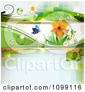 Poster, Art Print Of Background Of A Ladybug And Butterfly With Dew Daisies And A Lily