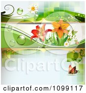 Poster, Art Print Of Background Of A Ladybug And Butterfly With Dew Daisies And Lilies