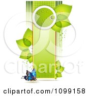 Clipart Background Of A Butterfly With A Vertical Green Banner And Leaves Royalty Free Vector Illustration
