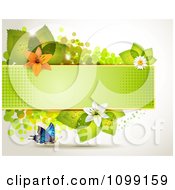Poster, Art Print Of Background Of A Butterfly With A Green Banner Flowers And Leaves