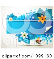 Poster, Art Print Of Background Of A Butterfly With A Blue Banner Flowers And Leaves
