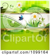 Poster, Art Print Of Background Of A Butterfly And Ladybug With Daisies And Green Copyspace