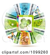Clipart St Patricks Day Ribbon Circle With A Dewy Shamrock And Butterflies 1 Royalty Free Vector Illustration