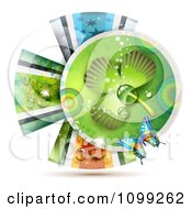 Clipart St Patricks Day Ribbon Circle With A Dewy Shamrock And Butterfly 2 Royalty Free Vector Illustration