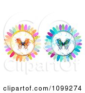 Orange And Blue Butterflies In Flower Petal Circles