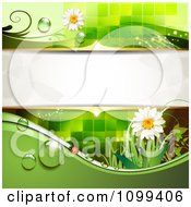 Poster, Art Print Of Background Of A Ladybug With Daisies Dew Green Foliage And Copyspace