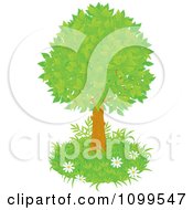 Poster, Art Print Of Lush Tree With Green Foliage And A Patch Of Grass With Wild Daisies