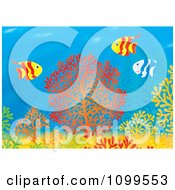 Poster, Art Print Of Striped Tropical Fish Over Colorful Corals At A Reef