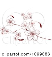 Poster, Art Print Of Spring Cherry Blossoms On Elegant Branches