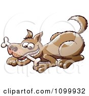 Poster, Art Print Of Happy Brown Dog Playing With A Bone In His Mouth