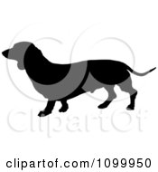 Poster, Art Print Of Black Silhouette Of A Daschund Dog Profile
