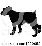 Black Silhouette Of A Schnauzer Dog Profile