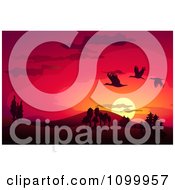 Clipart Silhouetted Storks Flying Over A Landscape Against A Red Sunset Royalty Free Vector Illustration