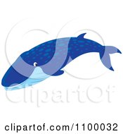 Poster, Art Print Of Happy Smiling Blue Whale