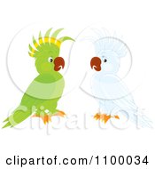 Green Parrot And White Cockatoo