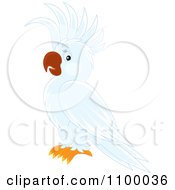 Poster, Art Print Of White Cockatoo Parrot