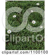3d Background Wild Daisies In Green Grass