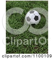 Poster, Art Print Of 3d Soccer Ball At Rest In Green Grass