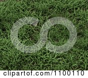3d Horizontal Background Of Green Grass
