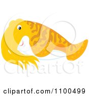 Poster, Art Print Of Cute Orange Cuttlefish