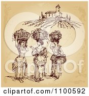 Poster, Art Print Of Brown Sketch Of Winery Worker Ladies With Baskets Of Grapes On Their Heads