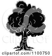 Poster, Art Print Of Mature Black And White Tree