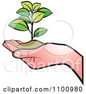 Hand Holding A Plant In Soil