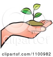 Poster, Art Print Of Human Hand Holding A Plant In Soil