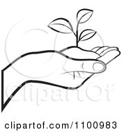 Outlined Human Hand Holding A Plant In Soil