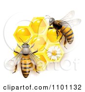 Poster, Art Print Of Honey Bees Over Honeycombs With A Daisy
