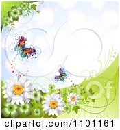 Poster, Art Print Of Spring Butterflies With Clovers Vines And Daisies Over Blue