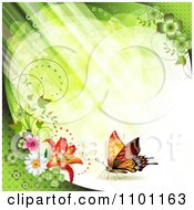 Poster, Art Print Of Diagonal Green Streaks Of Light With Vines Flowers And Butterflies